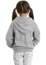 Hanes® - Youth EcoSmart® Pullover Hooded Sweatshirt